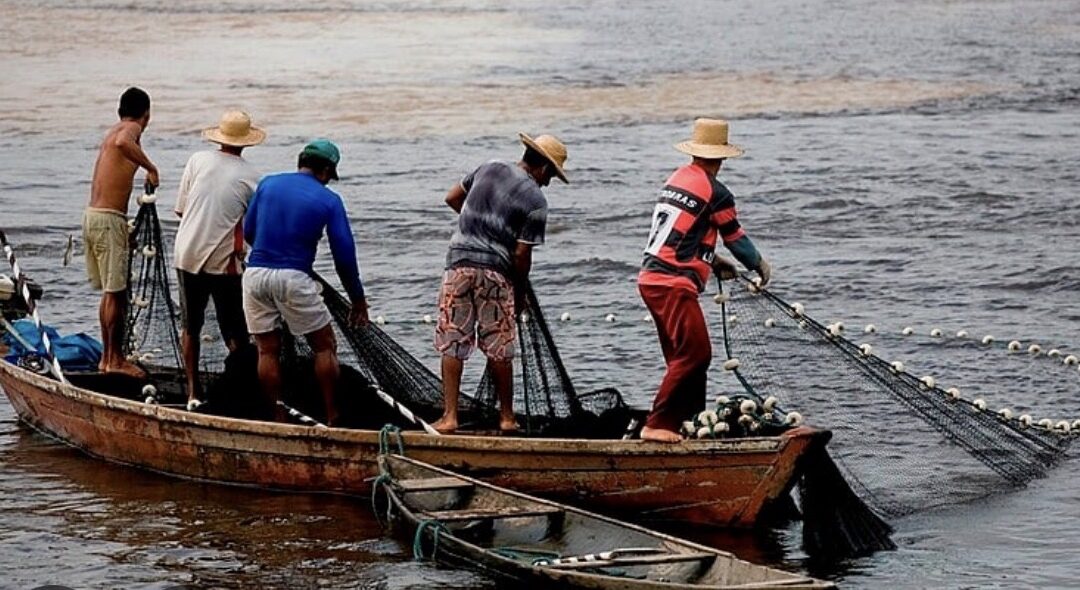 Portaria suspende registros de pescadores e afeta profissionais no Maranhão.